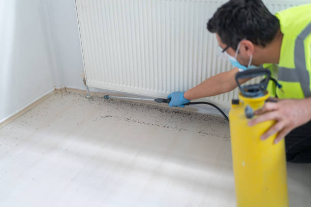 Professional Pest Control in Cortez, FL